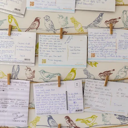 Magnolia בית הארחה